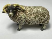 Early 20th Century Cold Painted Bronze Male RAm Horn Sheep Sculpture by Franz Bergman (2 of 29) Early 20th Century Cold Painted Bronze Male RAm Horn Sheep Sculpture by Franz Bergman (2 of 29)