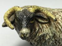 Early 20th Century Cold Painted Bronze Male RAm Horn Sheep Sculpture by Franz Bergman (28 of 29) Early 20th Century Cold Painted Bronze Male RAm Horn Sheep Sculpture by Franz Bergman (28 of 29)