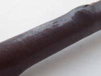 Victorian Walking Stick Cane Country Solid Silver Pommel Hazelwood Shaft (9 of 11) Victorian Walking Stick Cane Country Solid Silver Pommel Hazelwood Shaft (9 of 11)