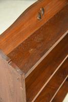 Early 20th Century Freestanding Bookcase (7 of 7) Early 20th Century Freestanding Bookcase (7 of 7)