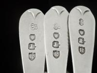 12 Cased Antique Silver Teaspoons & Tongs, London 1892, Wakely & Wheeler (7 of 10) 12 Cased Antique Silver Teaspoons & Tongs, London 1892, Wakely & Wheeler (7 of 10)