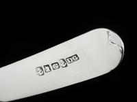 Immaculate Scottish Provincial Silver Toddy Ladle, David Gray Dumfries c.1825 (8 of 8) Immaculate Scottish Provincial Silver Toddy Ladle, David Gray Dumfries c.1825 (8 of 8)