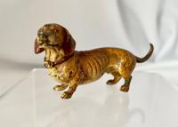 Cold Painted Miniature Dachshund (8 of 8) Cold Painted Miniature Dachshund (8 of 8)