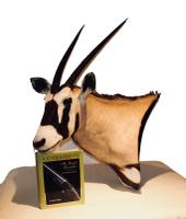 Item Additional Image