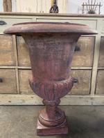 Large Pair of Cast Iron Medici Urns (10 of 10) Large Pair of Cast Iron Medici Urns (10 of 10)