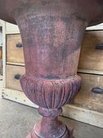 Large Pair of Cast Iron Medici Urns (9 of 10) Large Pair of Cast Iron Medici Urns (9 of 10)