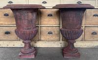 Large Pair of Cast Iron Medici Urns (4 of 10) Large Pair of Cast Iron Medici Urns (4 of 10)