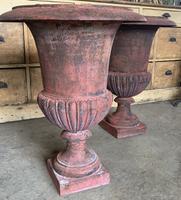 Large Pair of Cast Iron Medici Urns (6 of 10) Large Pair of Cast Iron Medici Urns (6 of 10)