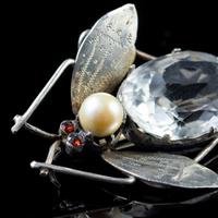 Antique Art Deco Rock Crystal Garnet Insect Brooch Silver c.1920 (3 of 5) Antique Art Deco Rock Crystal Garnet Insect Brooch Silver c.1920 (3 of 5)