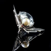 Antique Art Deco Rock Crystal Garnet Insect Brooch Silver c.1920 (4 of 5) Antique Art Deco Rock Crystal Garnet Insect Brooch Silver c.1920 (4 of 5)