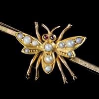 Antique Victorian Pearl Insect Bar Brooch Ruby Eyes 15ct Gold c.1880 (5 of 5) Antique Victorian Pearl Insect Bar Brooch Ruby Eyes 15ct Gold c.1880 (5 of 5)