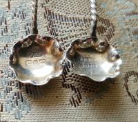 Beautiful Victorian John Millward Banks Solid Silver Salt & Spoon Cased Set Birmingham 1890 (5 of 9) Beautiful Victorian John Millward Banks Solid Silver Salt & Spoon Cased Set Birmingham 1890 (5 of 9)