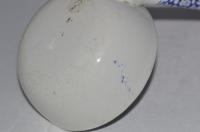 Minton 1820-1830s Florentine Pattern Soup Ladle (5 of 8) Minton 1820-1830s Florentine Pattern Soup Ladle (5 of 8)