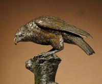 Very Decorative & Fine Bronze Model of a Hawk (4 of 19) Very Decorative & Fine Bronze Model of a Hawk (4 of 19)