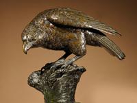 Very Decorative & Fine Bronze Model of a Hawk (5 of 19) Very Decorative & Fine Bronze Model of a Hawk (5 of 19)