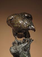 Very Decorative & Fine Bronze Model of a Hawk (7 of 19) Very Decorative & Fine Bronze Model of a Hawk (7 of 19)