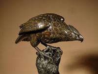 Very Decorative & Fine Bronze Model of a Hawk (14 of 19) Very Decorative & Fine Bronze Model of a Hawk (14 of 19)