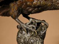 Very Decorative & Fine Bronze Model of a Hawk (15 of 19) Very Decorative & Fine Bronze Model of a Hawk (15 of 19)