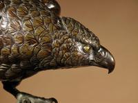 Very Decorative & Fine Bronze Model of a Hawk (17 of 19) Very Decorative & Fine Bronze Model of a Hawk (17 of 19)