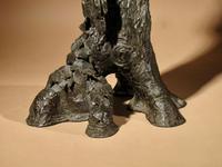 Very Decorative & Fine Bronze Model of a Hawk (8 of 19) Very Decorative & Fine Bronze Model of a Hawk (8 of 19)