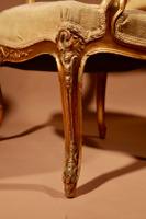 Louis XV Style Finely Carved Gildwood & Original Aubusson Tapestry Cabriolet Pair of Armchairs, 19th Century (11 of 18) Louis XV Style Finely Carved Gildwood & Original Aubusson Tapestry Cabriolet Pair of Armchairs, 19th Century (11 of 18)