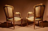 Louis XV Style Finely Carved Gildwood & Original Aubusson Tapestry Cabriolet Pair of Armchairs, 19th Century (13 of 18) Louis XV Style Finely Carved Gildwood & Original Aubusson Tapestry Cabriolet Pair of Armchairs, 19th Century (13 of 18)