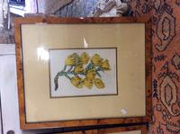 Two Botanical Paintings X2 (2 of 2) Two Botanical Paintings X2 (2 of 2)