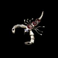 Antique Victorian Garnet & Sapphire Scorpion Sterling Silver Brooch Pin (3 of 6) Antique Victorian Garnet & Sapphire Scorpion Sterling Silver Brooch Pin (3 of 6)